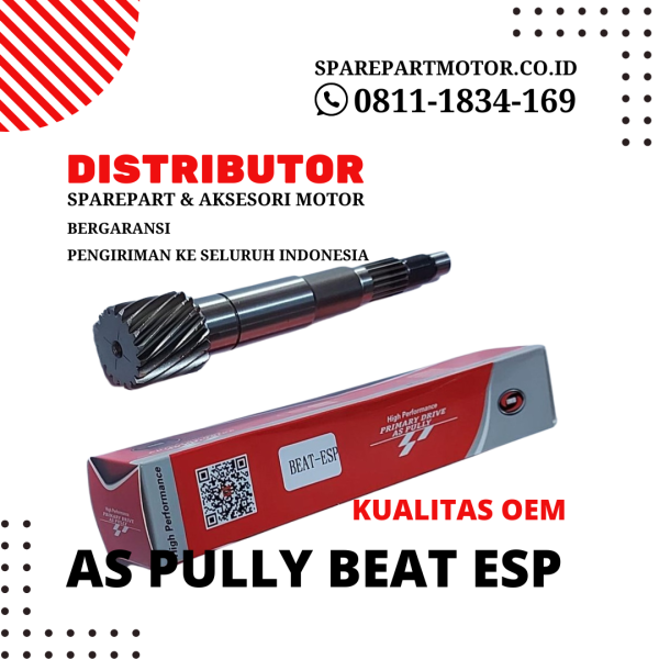As Pully Motor Beat ESP