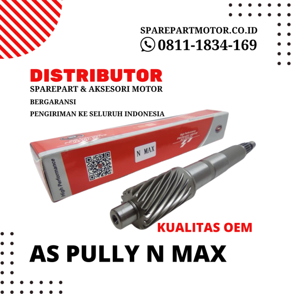 As Pully Motor N Max
